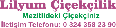 Mezitli  Mersin Lilyum 05392863974  +905435825373/